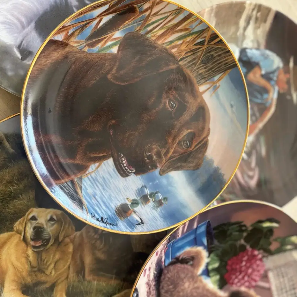Decorative Collector's Plate