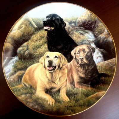 Decorative Collector’s Plate – Labrador Portrait