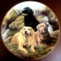 Decorative Collector’s Plate – Labrador Portrait