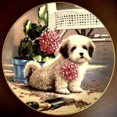 Puppy Garden Portrait