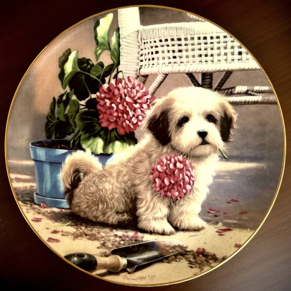 Puppy Garden Portrait